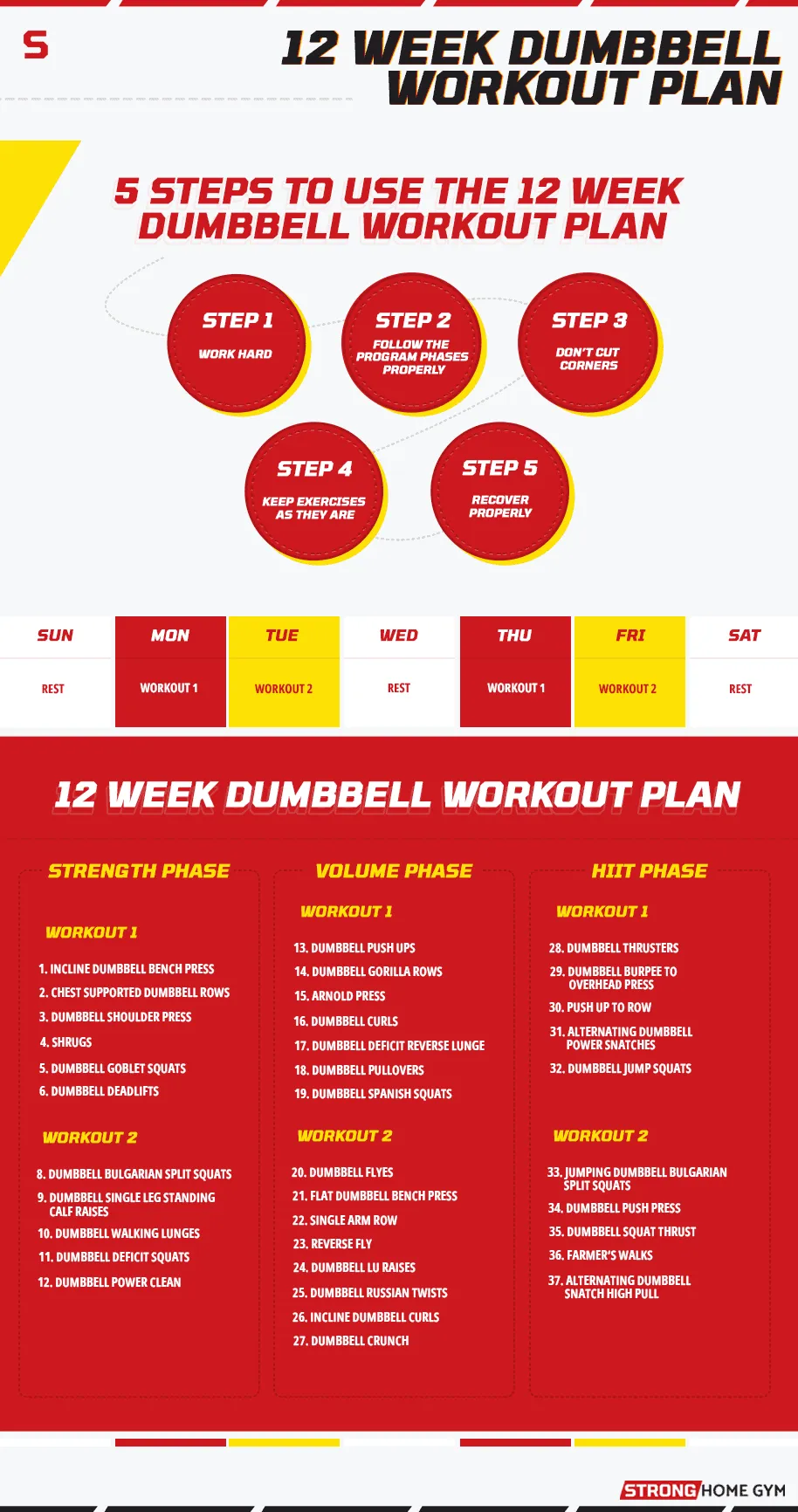 12 week dumbbell workout plan general infographic