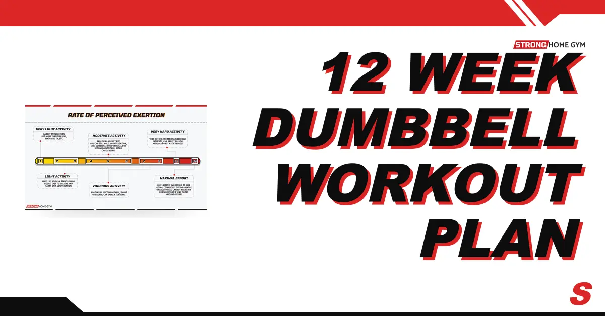 12 Week Dumbbell Workout Plan - Three Months to Insanity