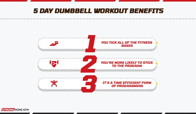 5 Day Dumbbell Workout Benefits
