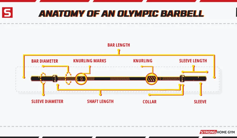 Anatomy Of An Olympic Barbell