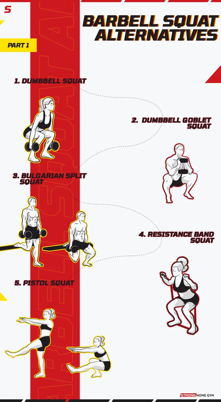 Barbell squat alternative infographic part 1