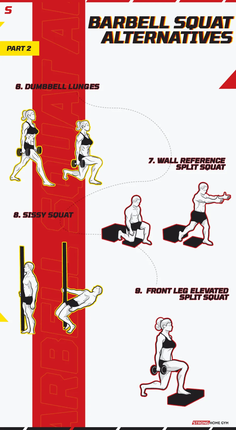 Barbell squat alternative infographic part 2