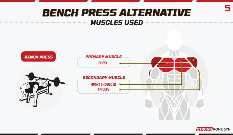 Bench Press Alternative - Muscles Used
