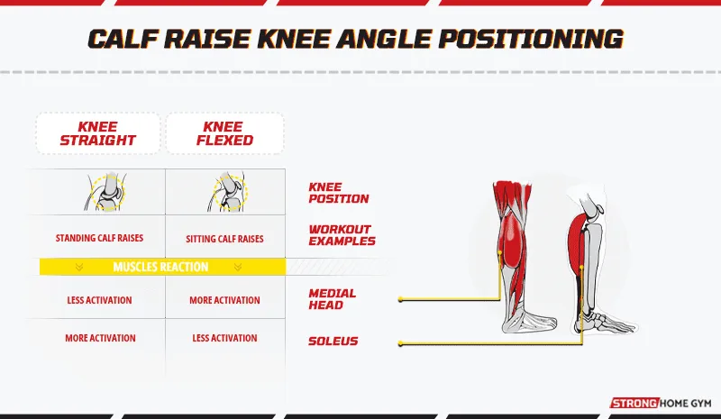 Calf Raise Knee Angle Positioning