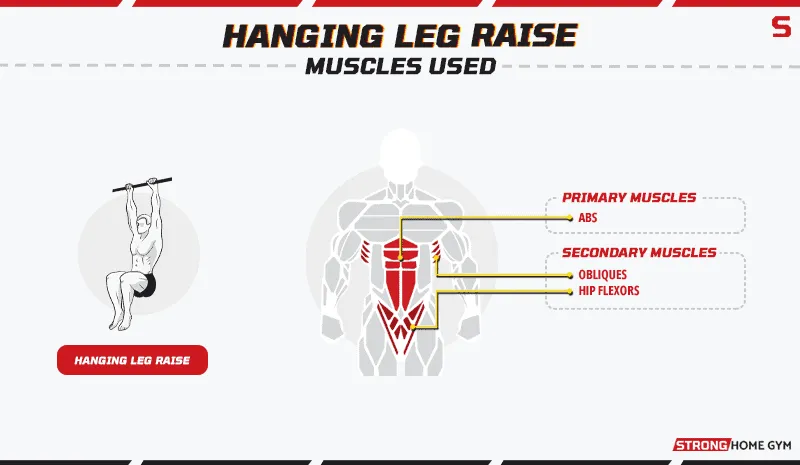 Hanging leg raise alternative - muscles worked
