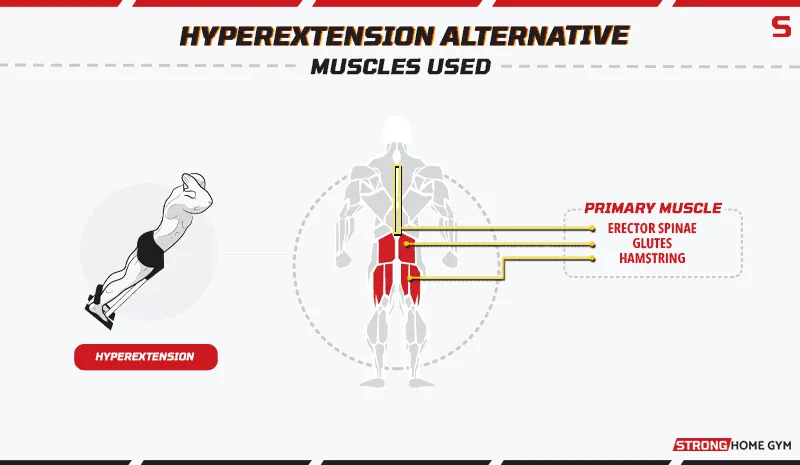 Hyperextension Alternative Muscles Used