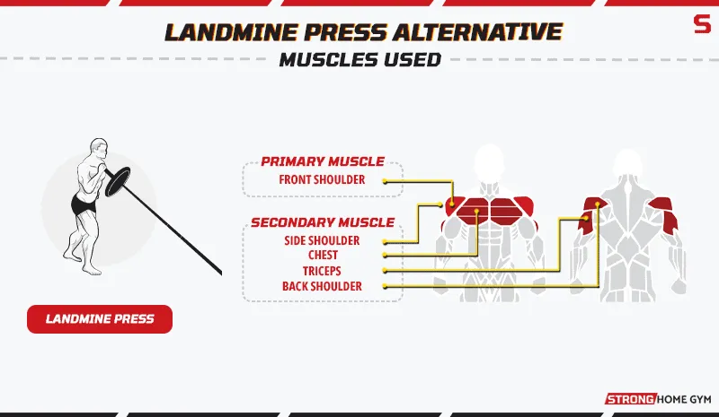 Landmine Press Alternative Muscles Used