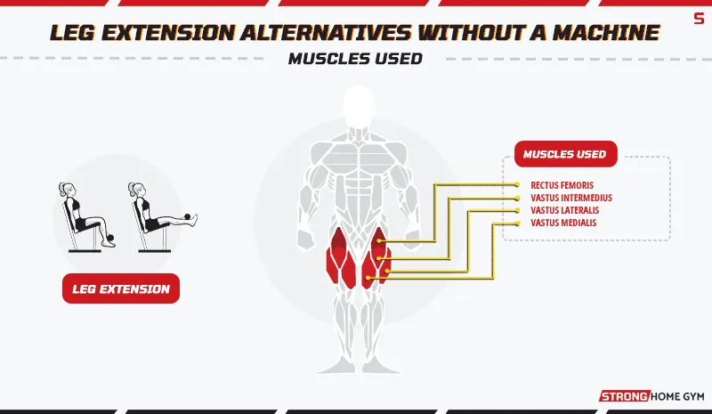 Leg Extension muscles used