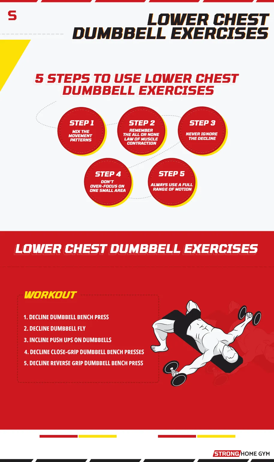 Lower Chest Dumbbell Exercises General Infographic