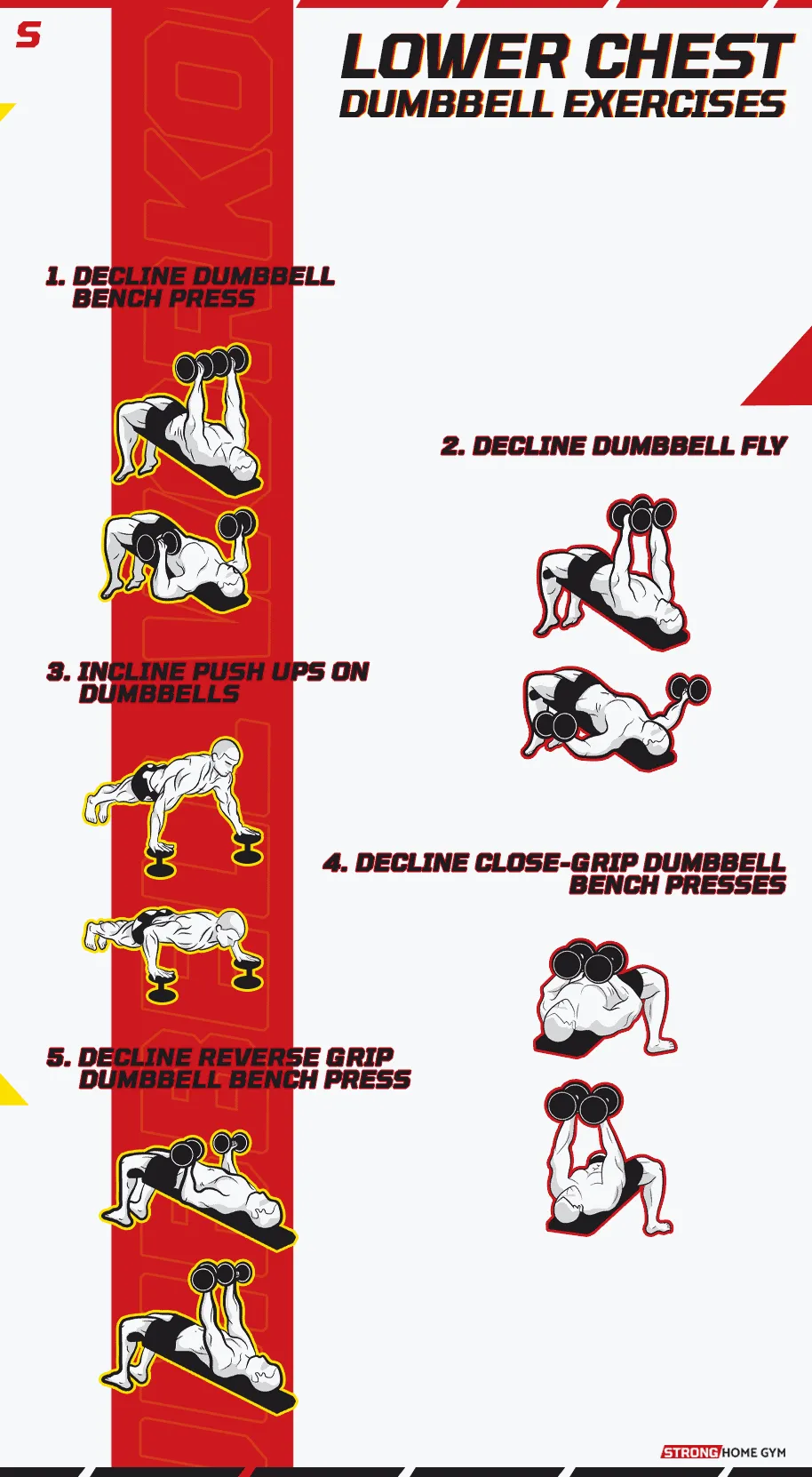 Lower Chest Dumbbell Exercises Infographic