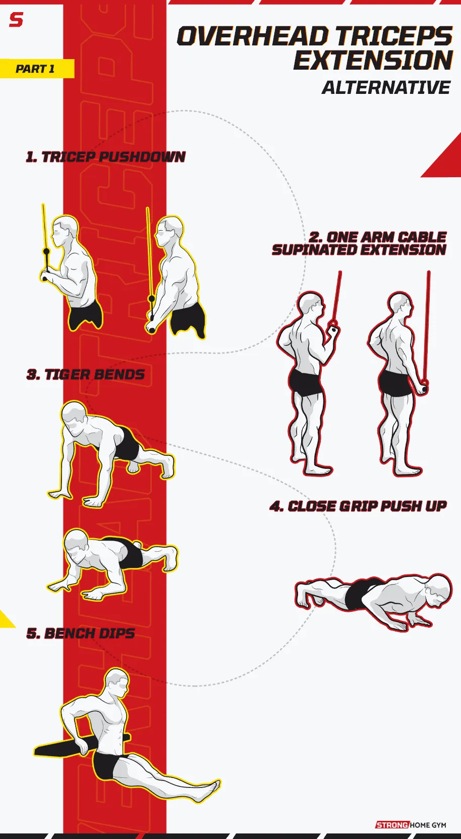 Overhead Triceps Extension Alternative Infographic part 1