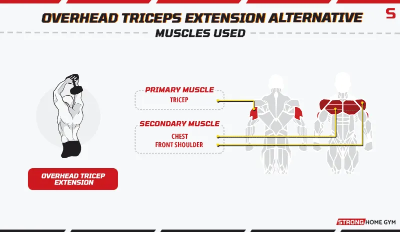 Overhead Triceps Extension Alternative Muscles Used