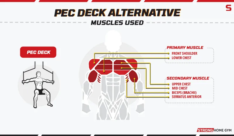 Pec Deck Alternatives Muscles Used