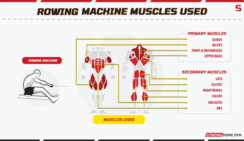 Rowing machine alternative muscles used