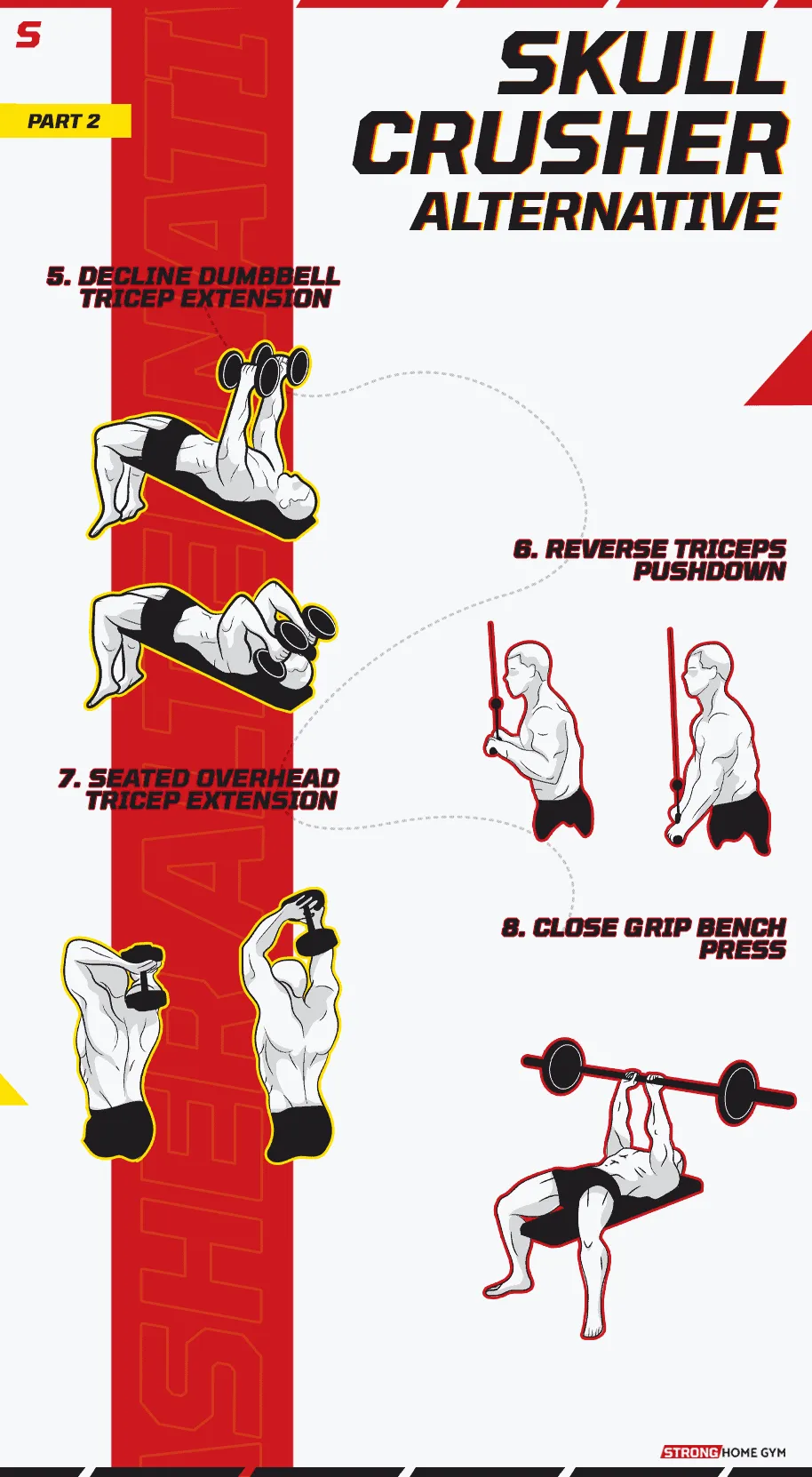 Skull Crusher Alternative Infographic part 2