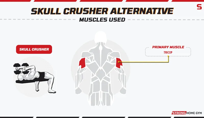 Skull Crusher Alternatives - Muscles Used