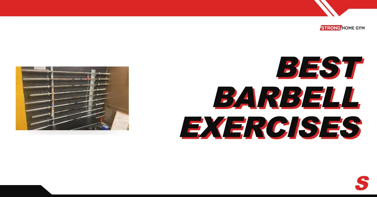11 Best Barbell Exercises for Each Muscle Group