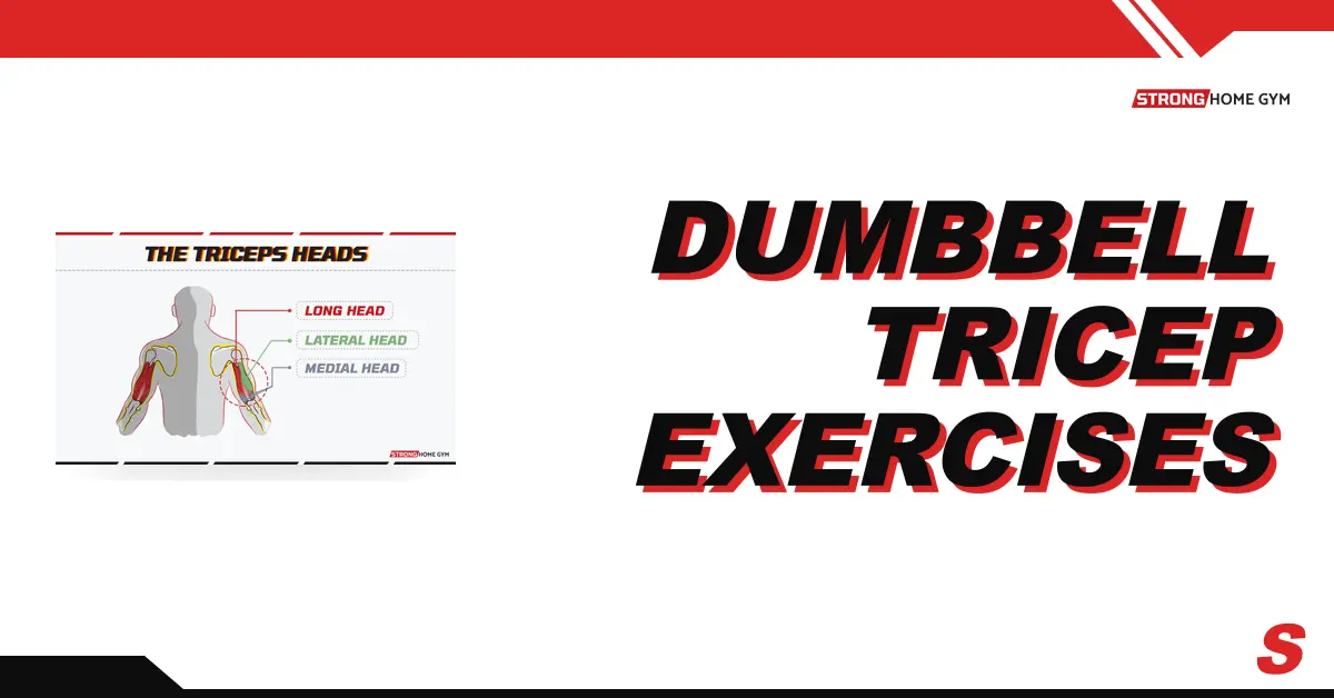 6 Dumbbell Tricep Exercises Without A Bench (For Each Head)