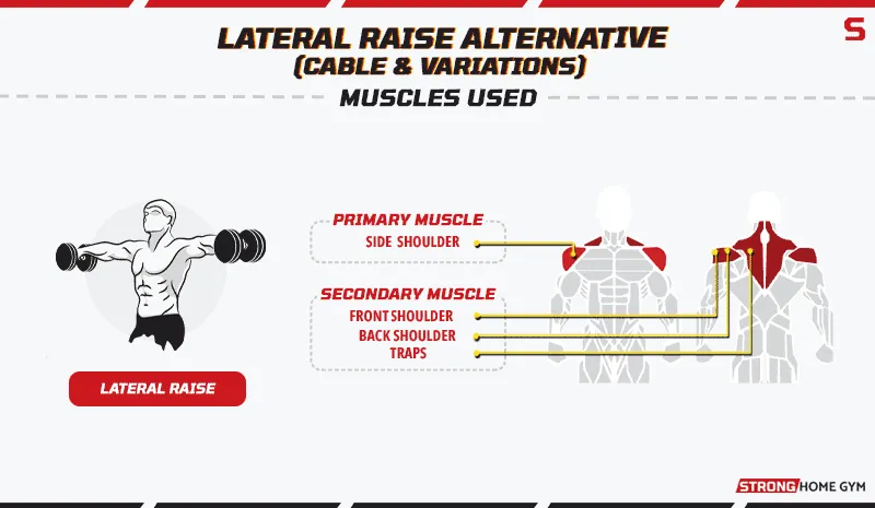 Lateral Raise Alternative Muscles Used