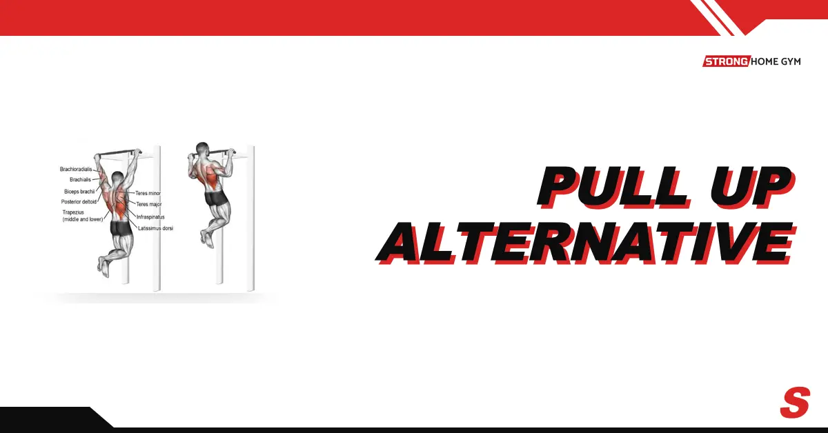 9 Effective Pull Up Alternatives at Home & for Beginners