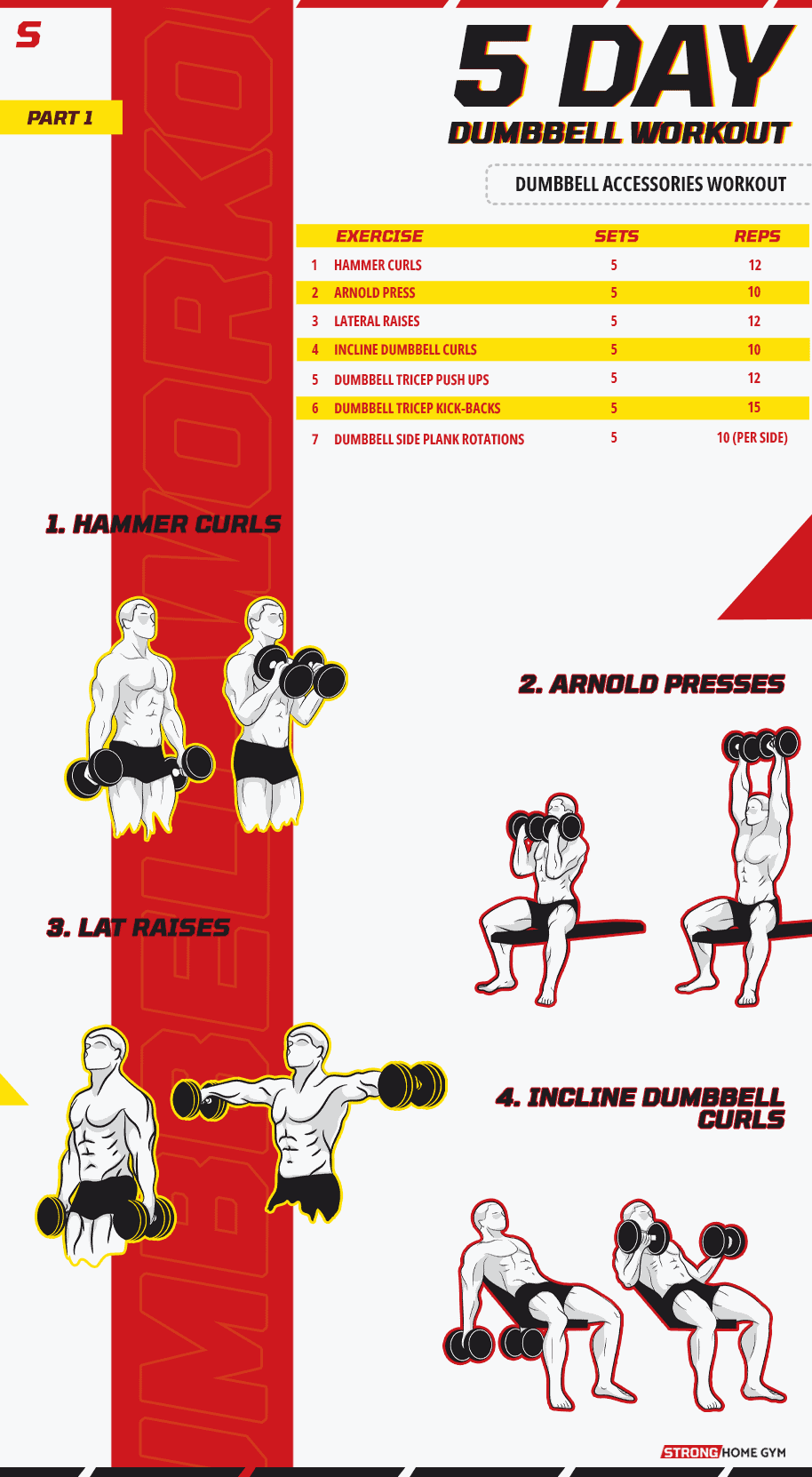 5 Day Dumbbell Accessories Workout part 1