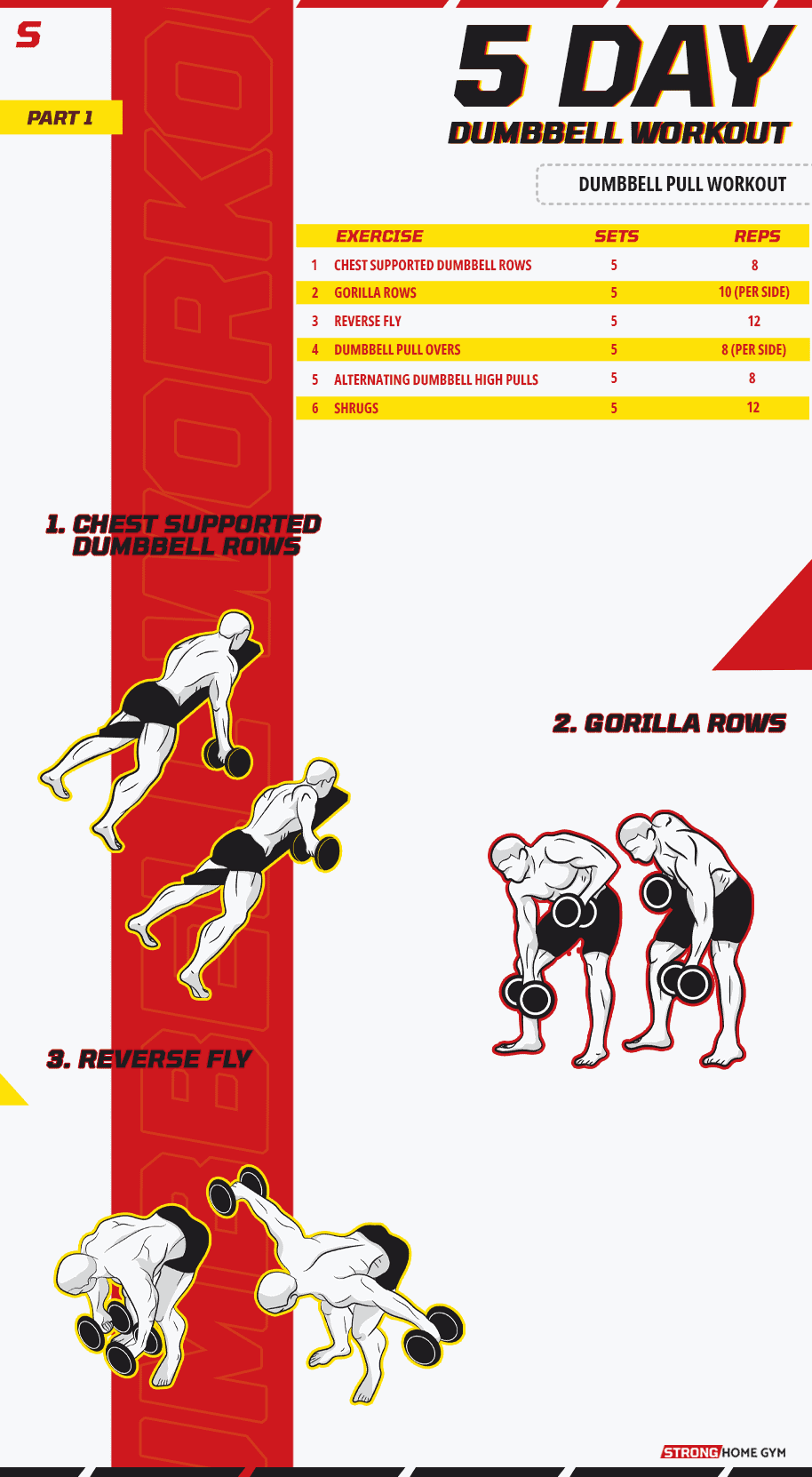 5 Day Dumbbell Pull Workout part 1