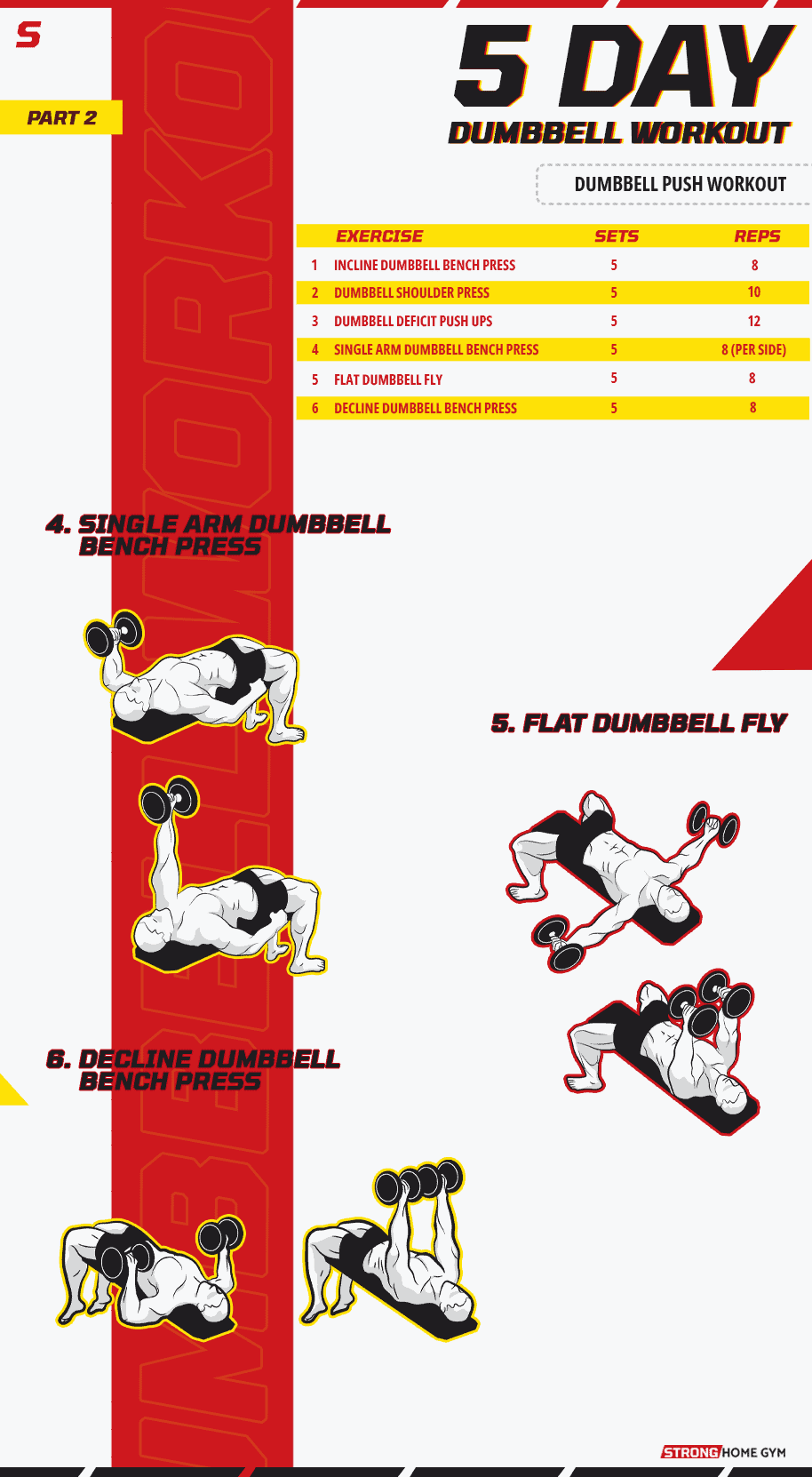 5 Day Dumbbell Push Workout part 2