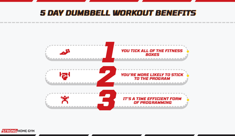 5 Day Dumbbell Workout Benefits