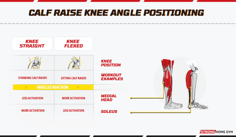 Calf Raise Knee Angle Positioning