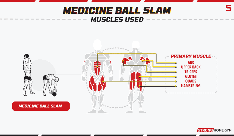 Medicine ball slam - muscles used