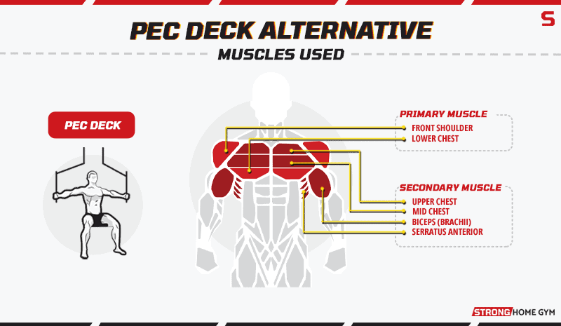 Pec Deck Alternatives Muscles Used