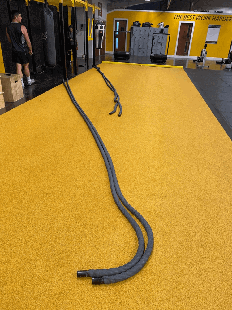 The battle ropes in Steve's MyGym