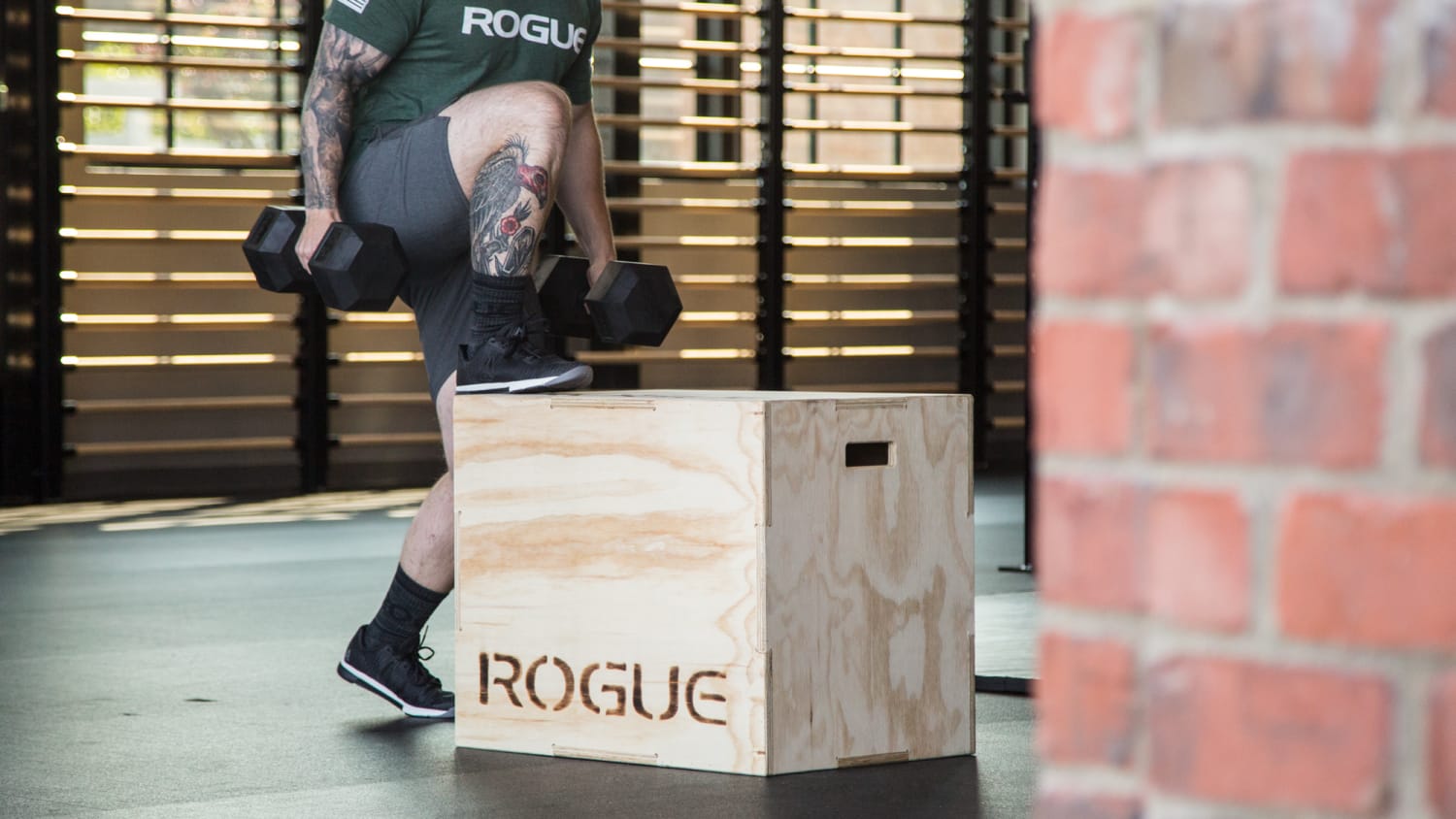 Rogue Games Box