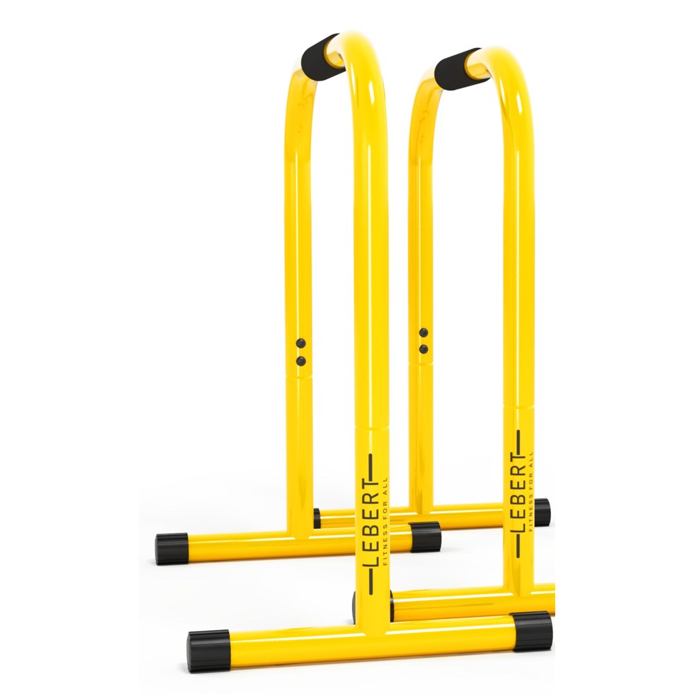 Lebert EQualizer tall parallette bars