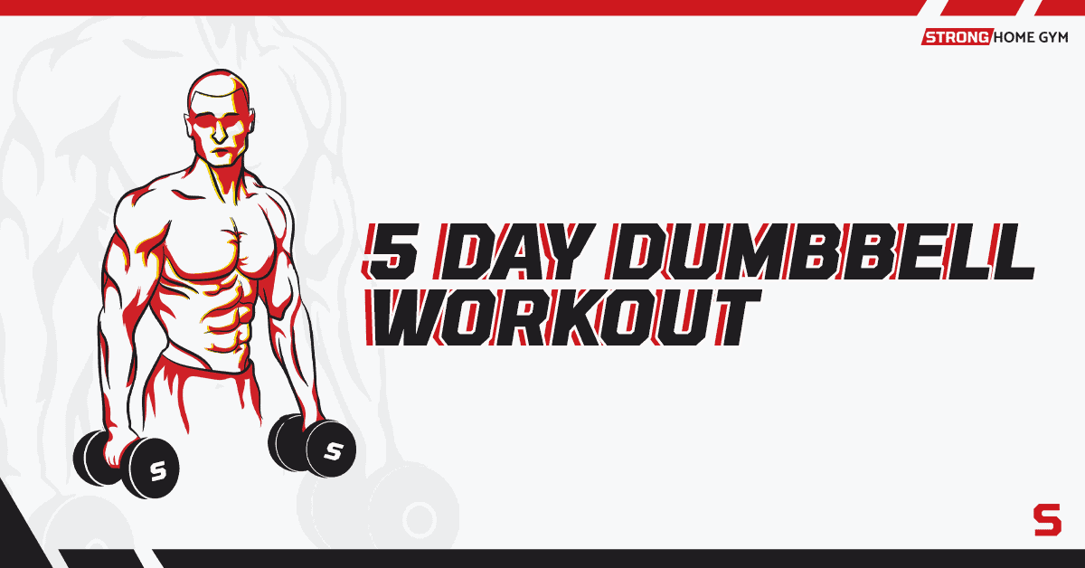 5 day dumbbell online split